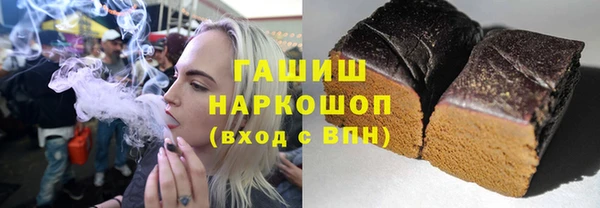 мдпв Бородино