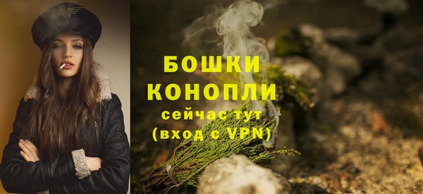 хмурый Бронницы