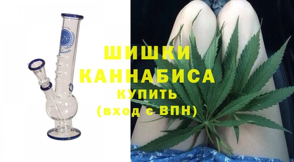 мдпв Бородино