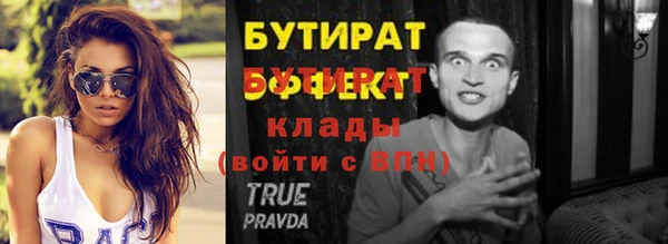 мдпв Бородино