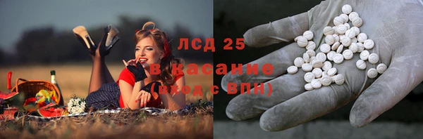 мдпв Бородино