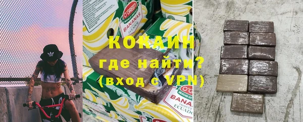 мдпв Бородино