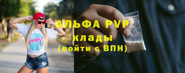 мдпв Бородино