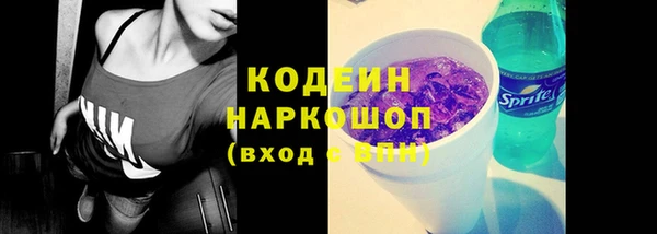 мдпв Бородино