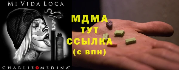мдпв Бородино
