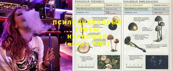 первитин Бугульма