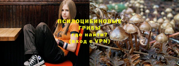 мдпв Бородино