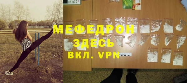 мдпв Бородино
