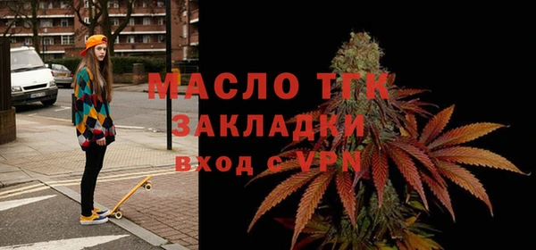 мдпв Бородино