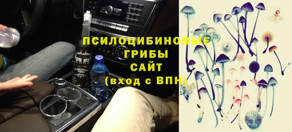 мдпв Бородино