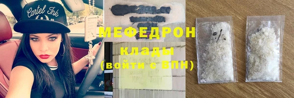 мдпв Бородино